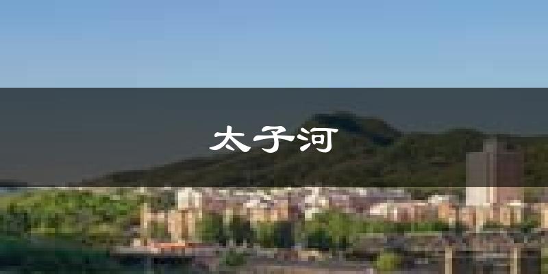 辽阳太子河天气预报未来一周