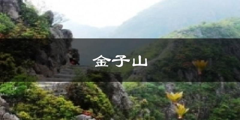 葫芦岛连山金子山天气预报未来一周