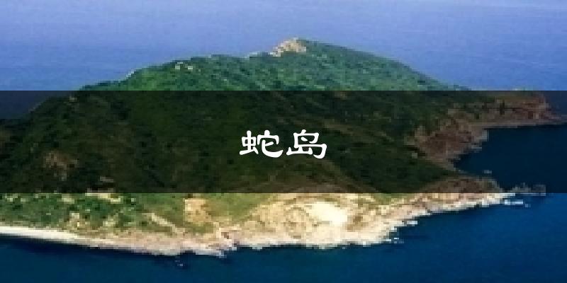 蛇岛天气预报十五天