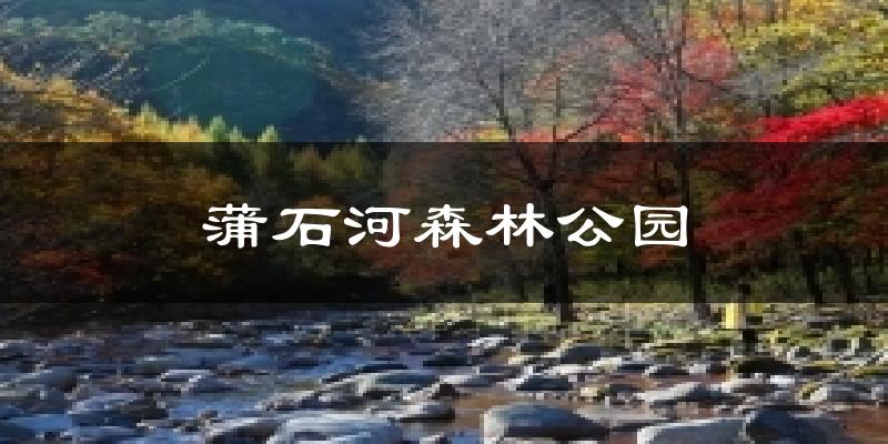 蒲石河森林公园天气预报十五天